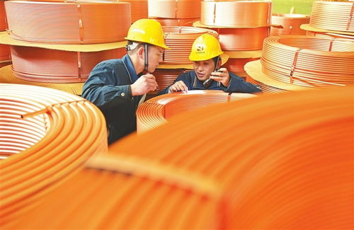 江西 贛鄱生 金 豐收畫卷 圖